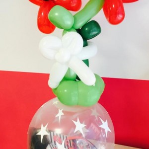 11702753_745994818845300_1404843630032656186_n